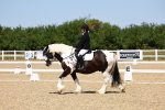 SBM_011580