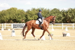 SBM_009404