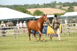 SBM_09093