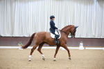 SBM_010169