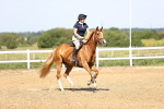 SBM_003724