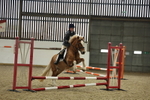AJG_3545