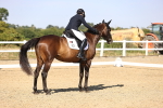 SBM_006750