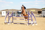 SBM_007539