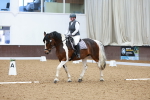 SBM_009453