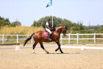SBM_012250