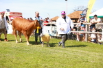 SBM_08323