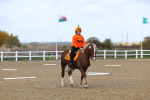 SBM_000826