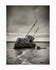 Wreck of a Boat