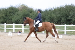SBM_017431