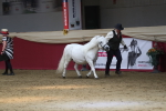 SBM_04915