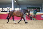 SBM_04385