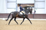 SBM_018749
