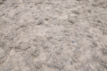 SBM_013002