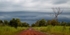 Stormy Road