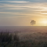 Misty Moorland