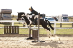 SBM_002914
