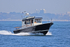 180506 PISCES - TARGA 27 1Y3A8334_Edit