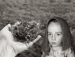 Horse Hair Nest