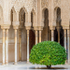 Andalucia 2 -100