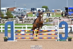 Cls 23 95cm Amateur Qualifier portfolio