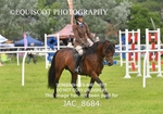 JAC_8684