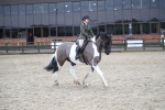 SBM_008002