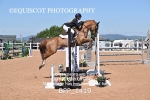 BPP_1419