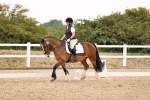 SBM_008665