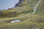 Peris Horseshoe-5