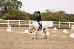 SBM_000216