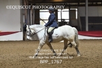 BPP_1767