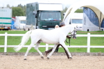 SBM_05887
