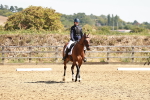 SBM_001729