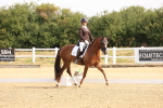 SBM_005226