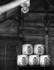Sake Barrels Kurama Shrine