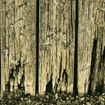 Sea Wall