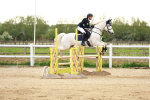 SBM_009595