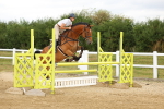 SBM_009365