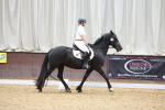 SBM_000528