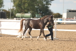 SBM_08612