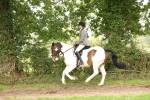 SBM_66337