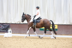 SBM_000297