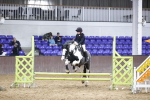 SBM_003972