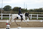 SBM_004223