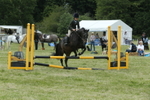 20260614-3467