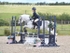 BPP_3597