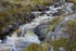 Leacklea Stream 3