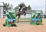 BPP_0586