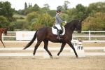SBM_002856